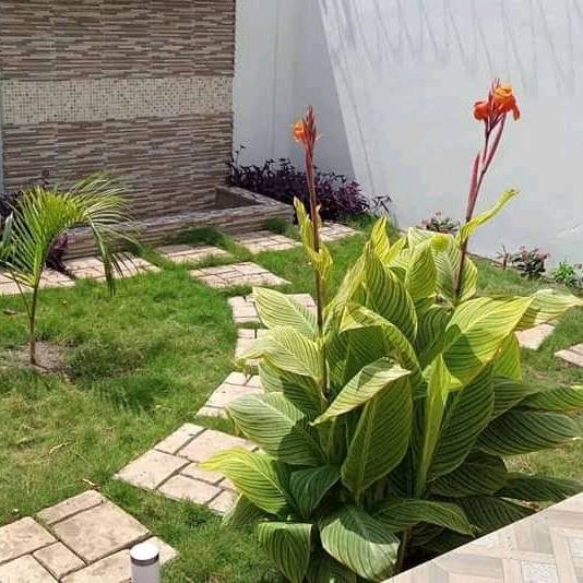 Villa duplex chic à agoè réserve