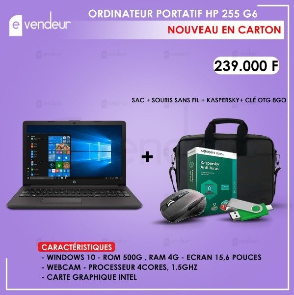 ORDINATEURS PORTATIF HP 255 G6