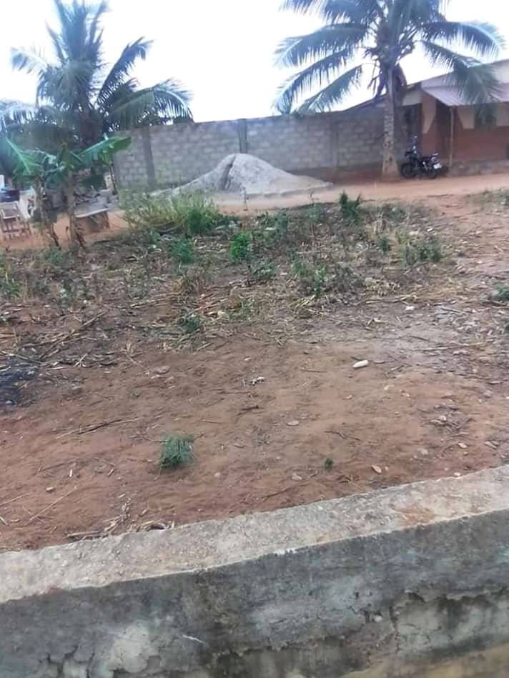 Terrain en vente a Lomé zanguera dangbessito