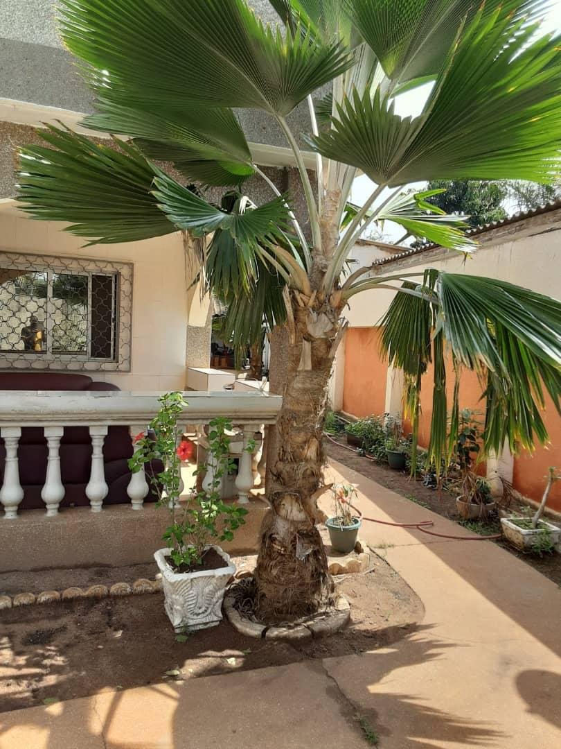Villa R+2 en vente à wuiti