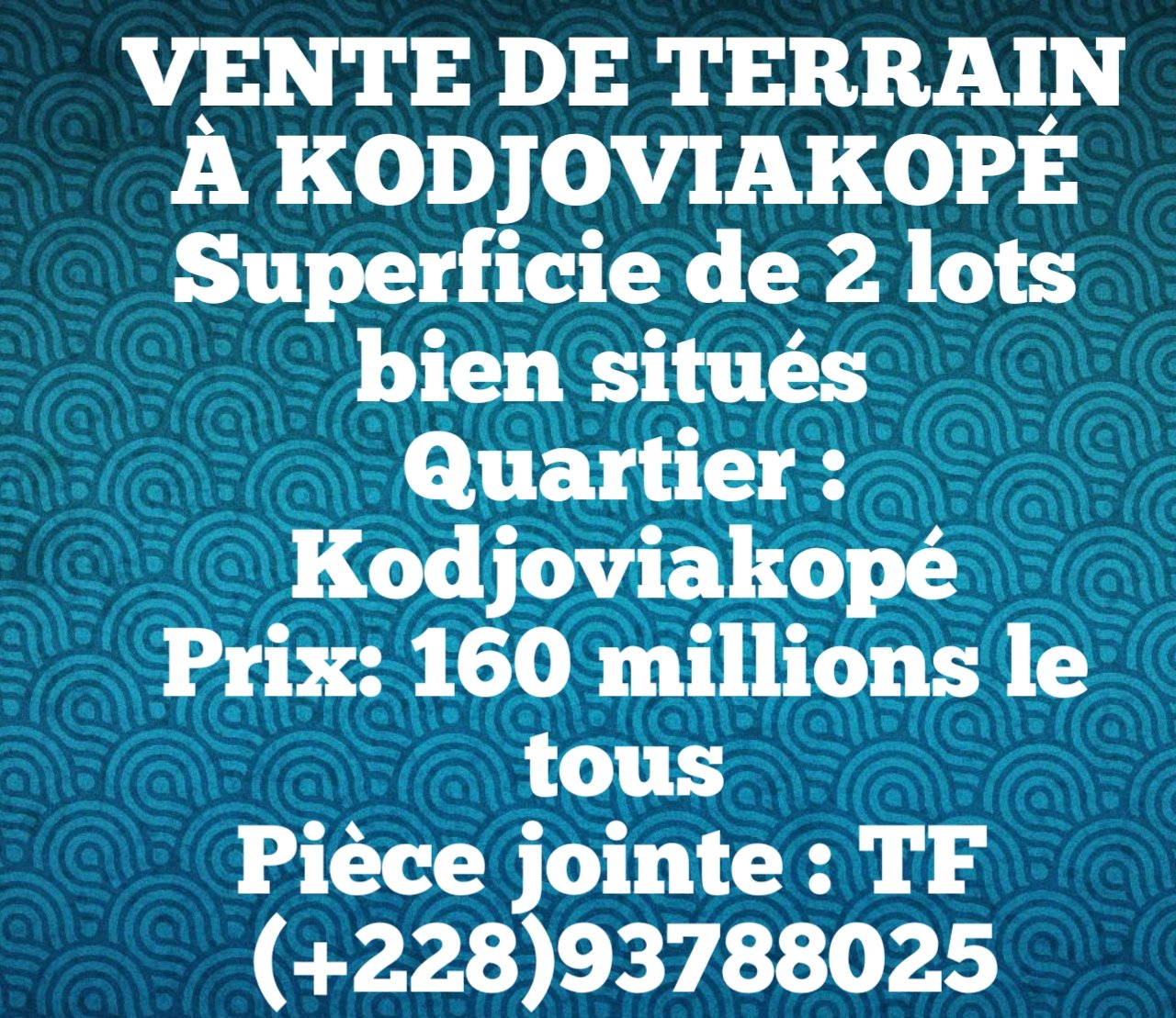 VENTE DE 2 LOTS COLLÉS À KODJOVIAKOPÉ