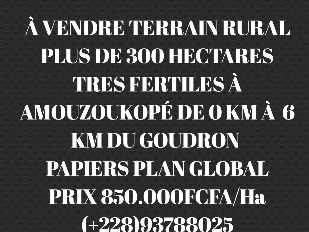 VENTE DES HECTARES AU BORD DU GOUDRON À AMOUZOUKOPÉ