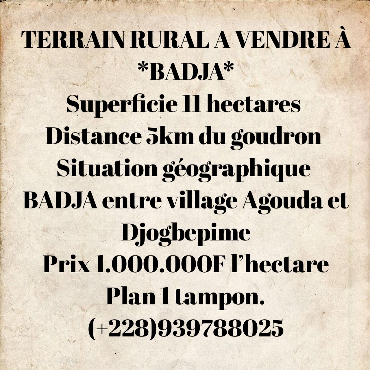 VENTE DES HECTARES À BADJA