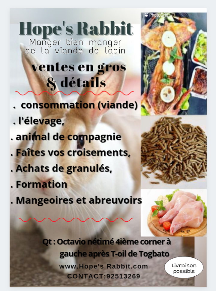 ventes de lapins pour la consommation, l&rsquo;élevage,et d&rsquo;autres produits indispensables a élevage de lapins
