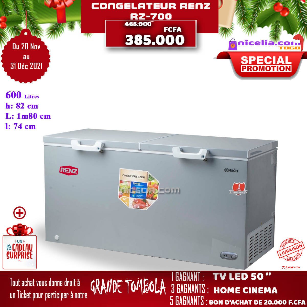 Congélateur renz RZ-700