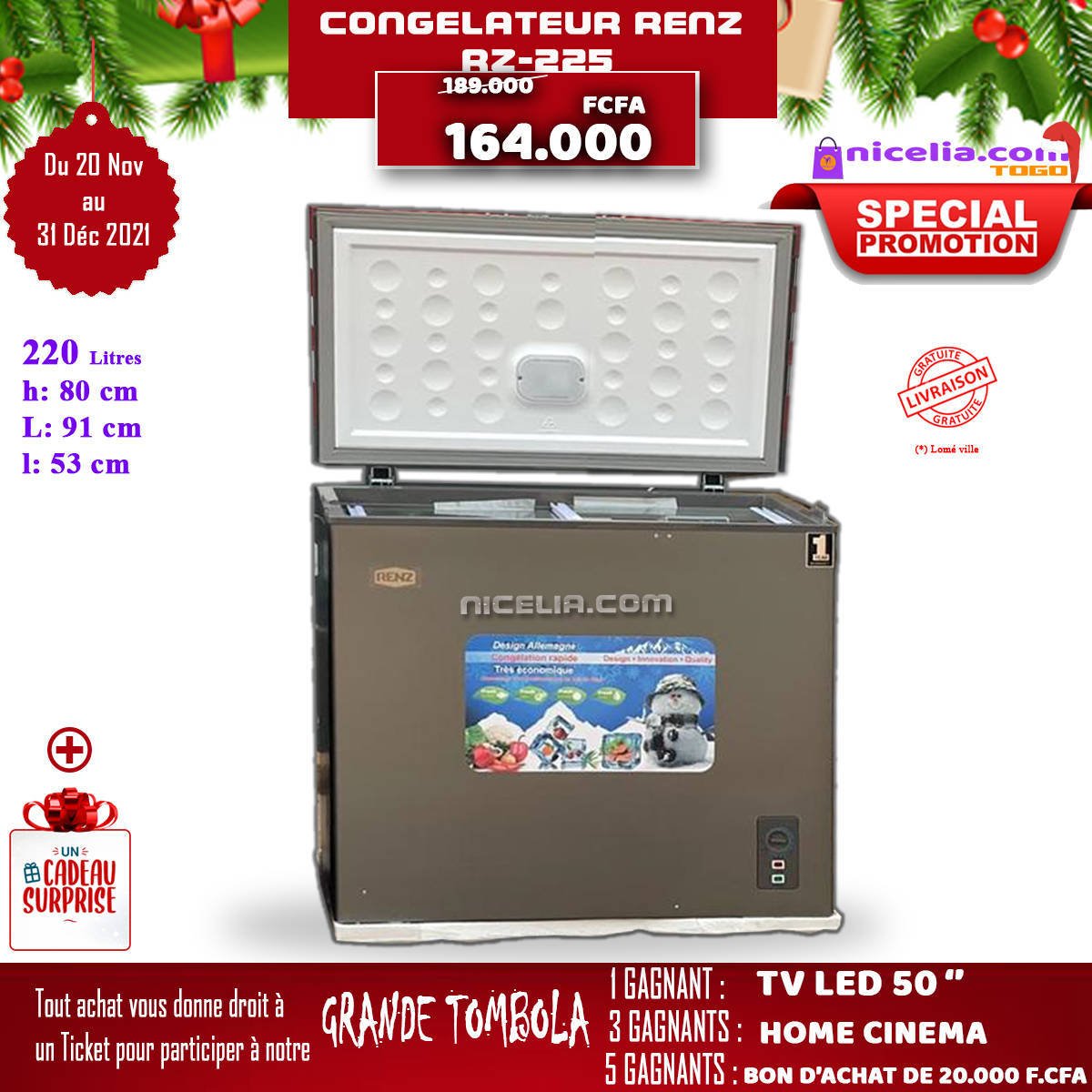 Congélateur renz rz-225