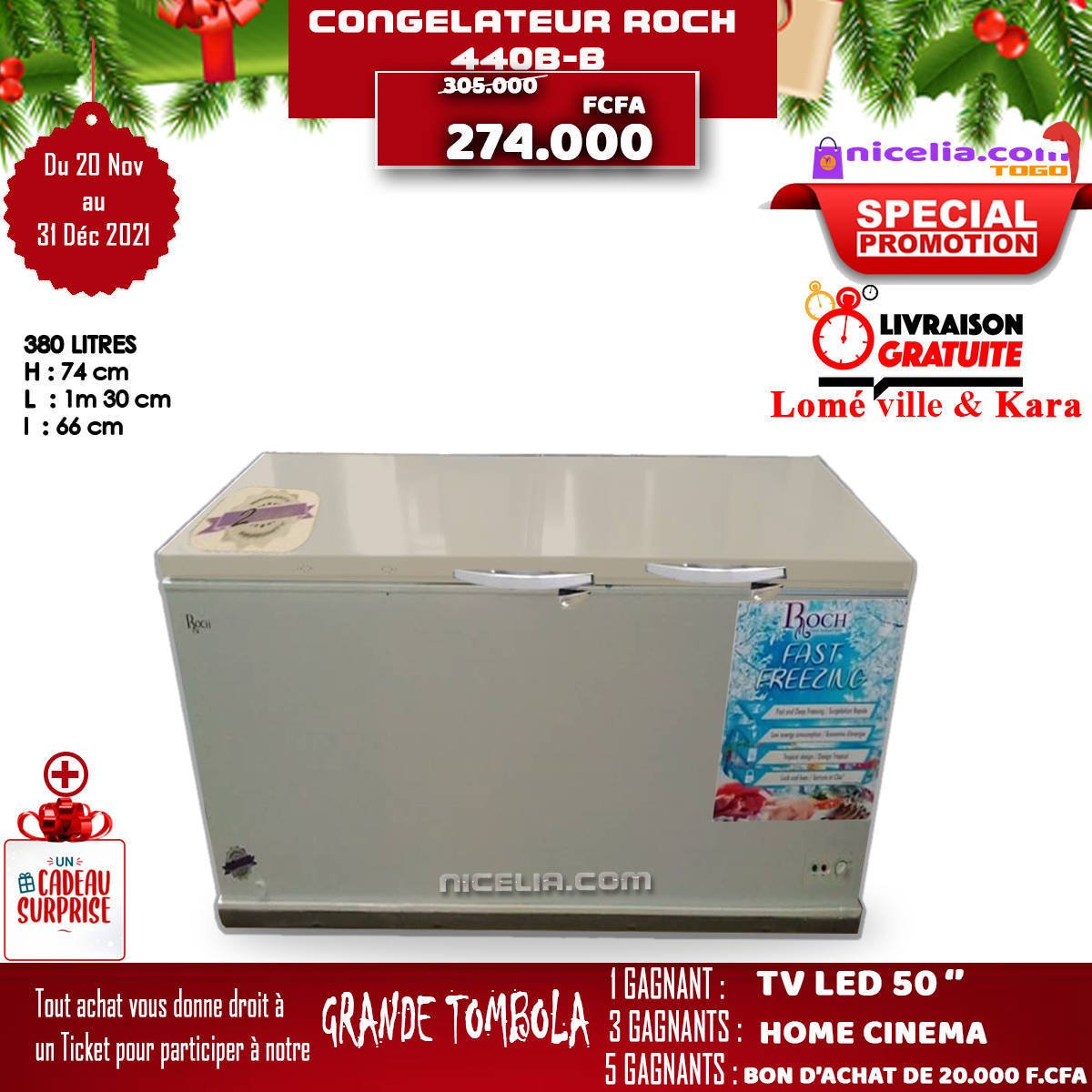 Congélateur roch 440-B
