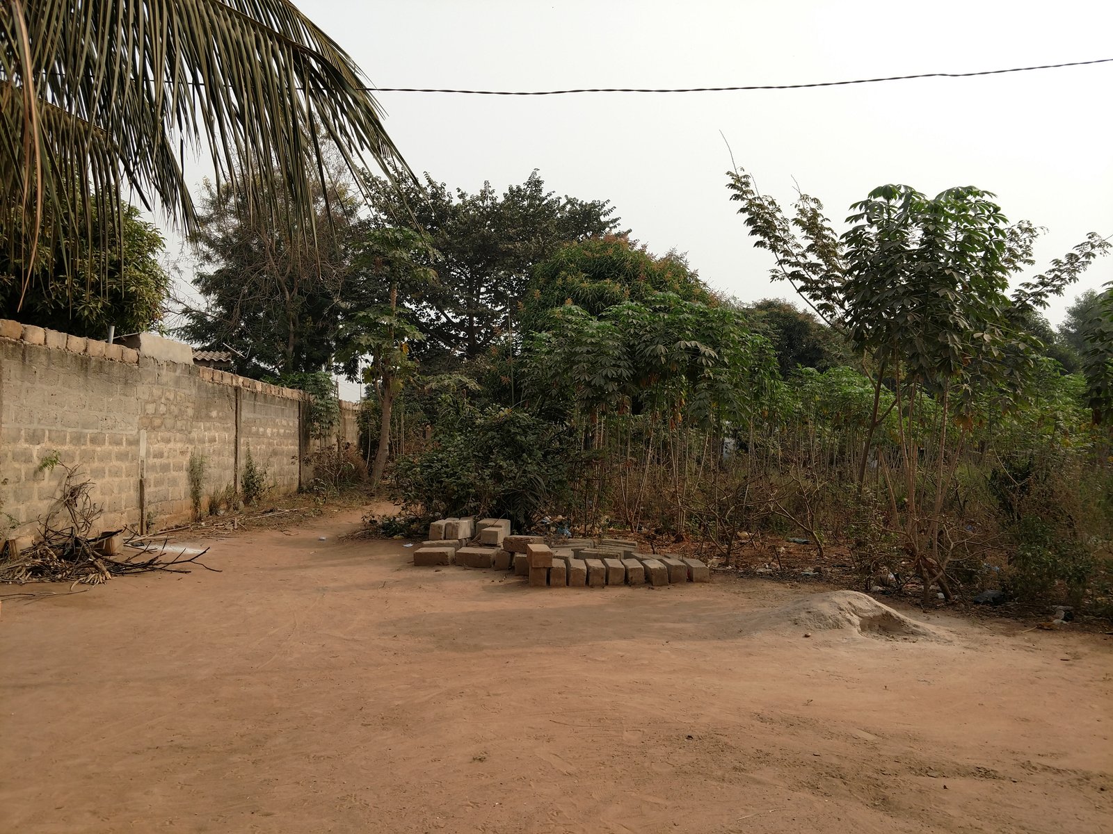 SANGUERA